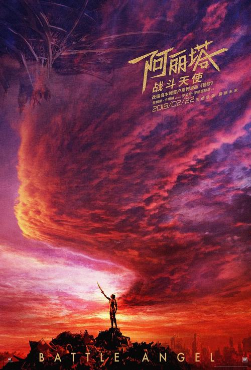 做假印度护照模板